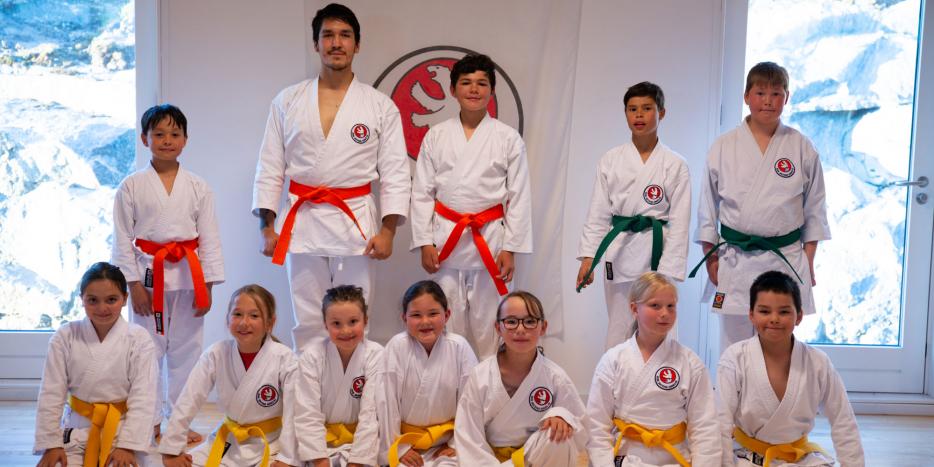 Shotokan karate Shotokan karate