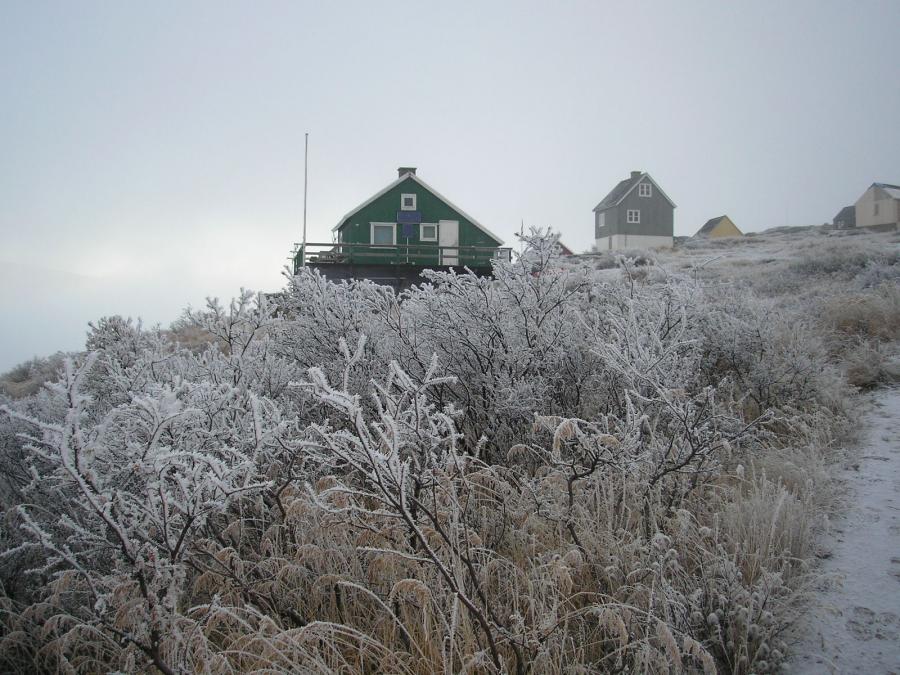 Vintersæsonen starter, Kapisillit ved Nuuk, 25. oktober 2006