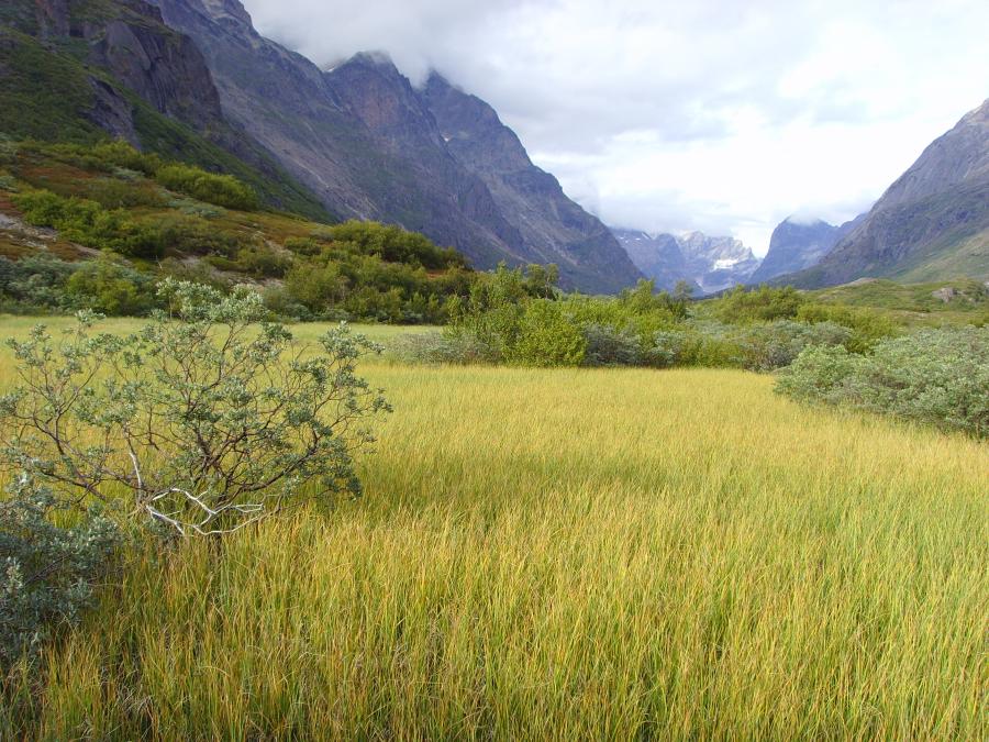 Nuna qorsooqqik, Kujataani aasaq