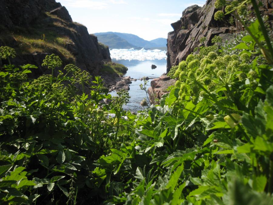 Sermilik fjorden ved Narsaq