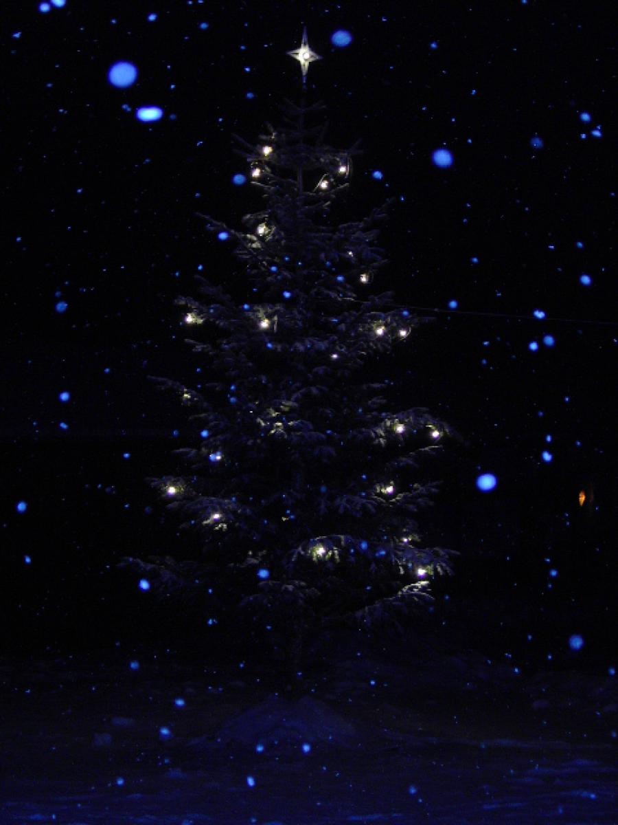 Juletræ