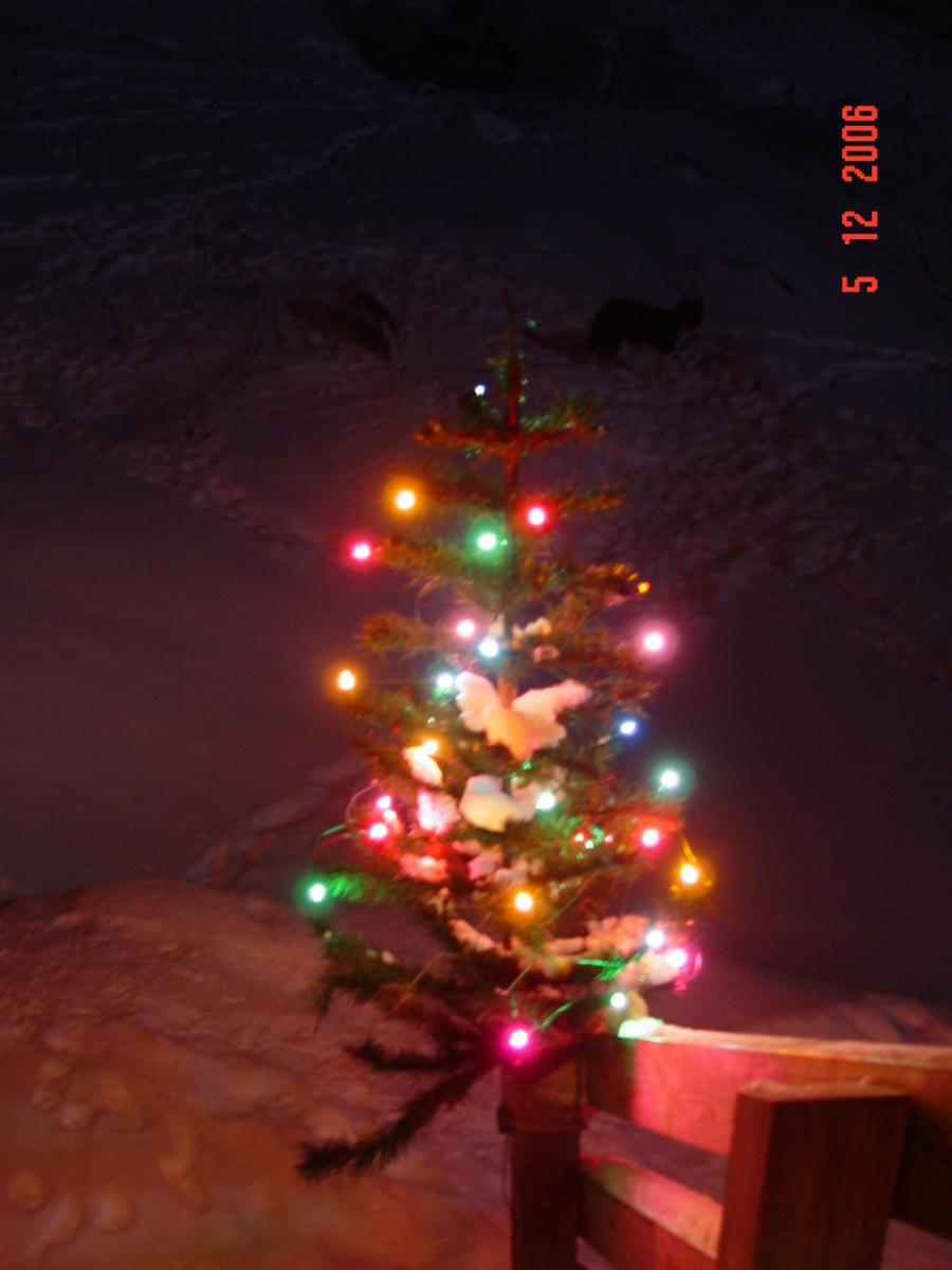 Orpiliaq. Tasiusaq, decembarip 5-at 2006