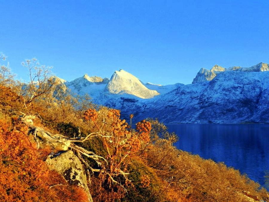 Sioralik (Saqqassuaq)Nov´2013