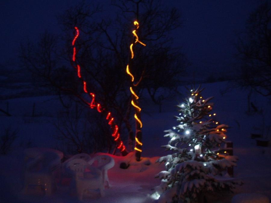 Juulli 2004
