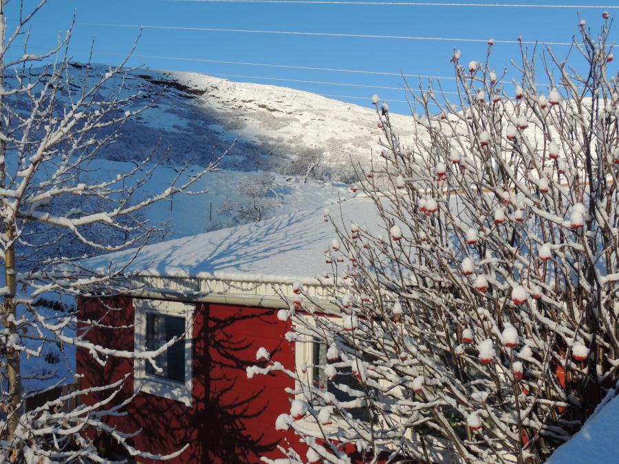 Qorl.15 Nov. Aput nutaaq.