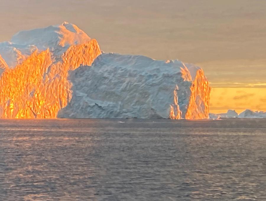 Isfjordssejlads