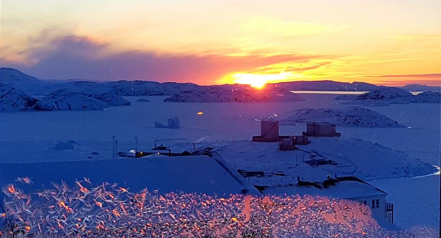 Qasigiannguani 31.jan '19 seqernup tarrilernera