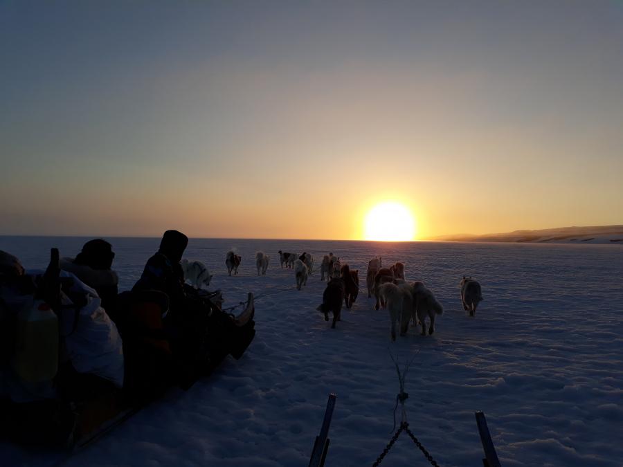 Ittoqqortoormiiniit eqalunniarluta illoqarfimminngaanniit 50 km missaani qimusseqqaarlugu. Una maajip 25-anni 2019 unnuami assilisaavoq.