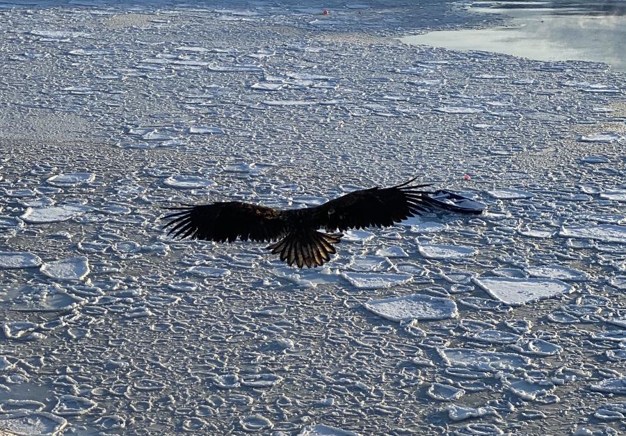 Nattoralik. Sisimiut, februaarip 13-anni 2020