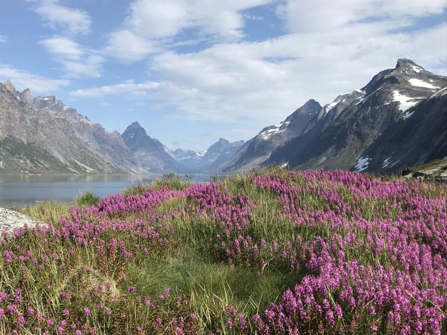 Kujataani Aappilattup eqqaani nunaqarfiusimasumit Nuummit kangikitsumut isikkivik, aggusti 2019