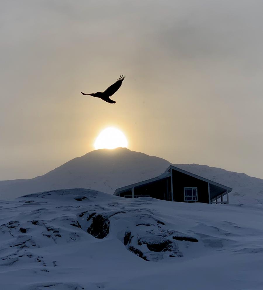 Tulugaq seqinerlu. Nuuk, februaarip 22-at 2020