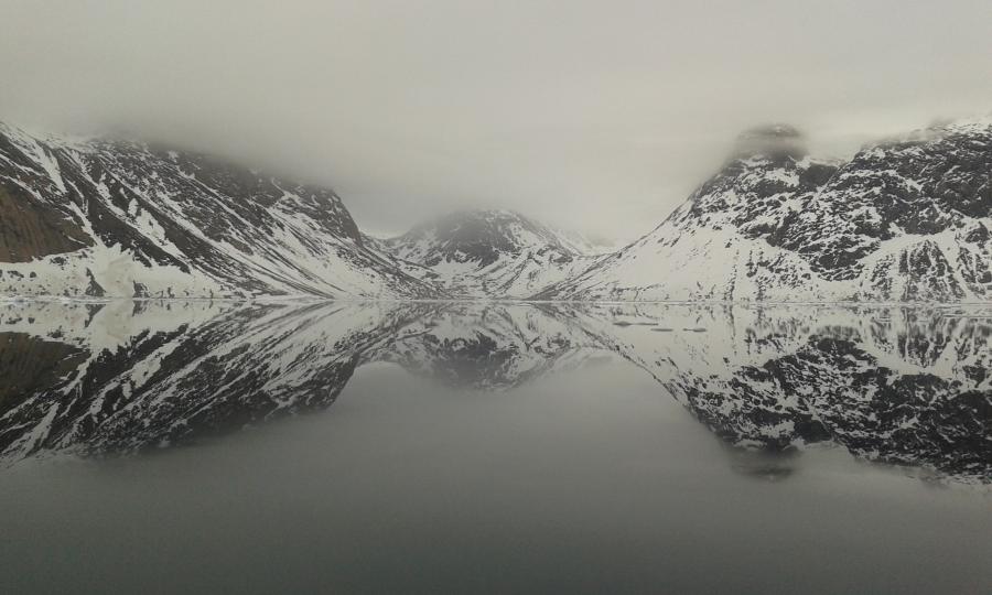 imaani tarrarssumi