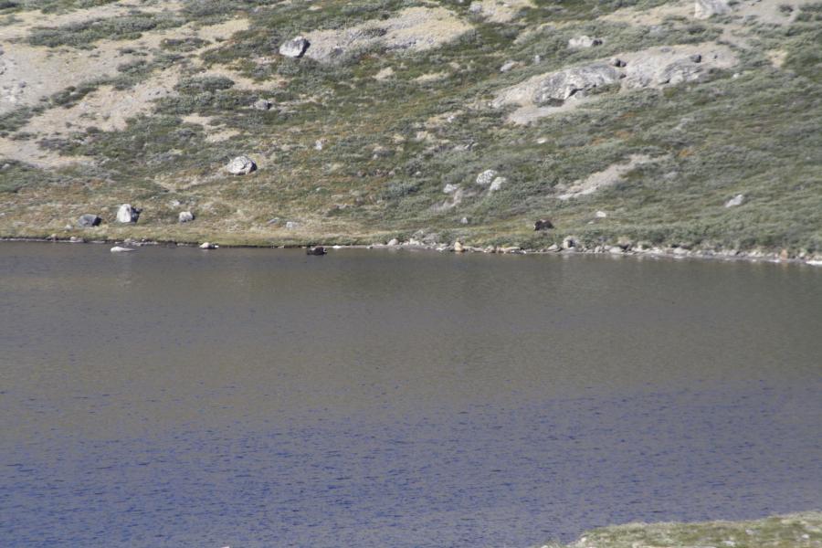 Kangerlussuaq 01.08.16