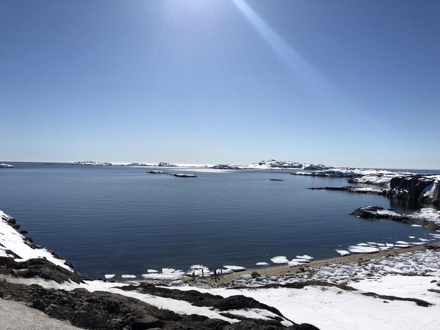 Sisimiuni meeqqat upernaarsiorput.