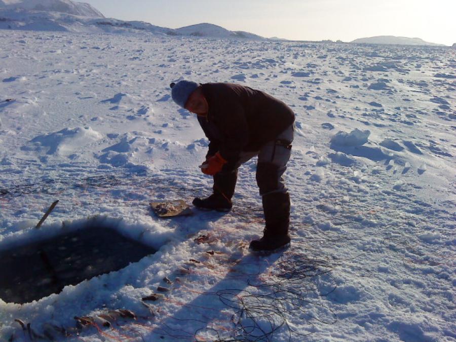 juhanjaraq,nigitakkamini