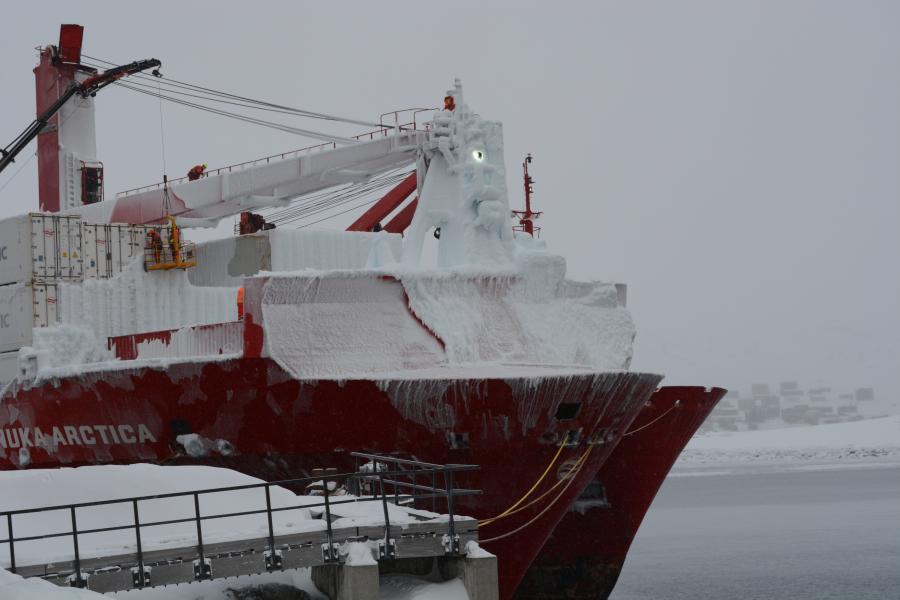 Nuka Arctica