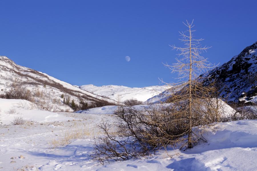 Suuluaqqap qaqqaanut qummukariaq