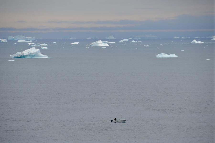 Avannaata iluliarsui