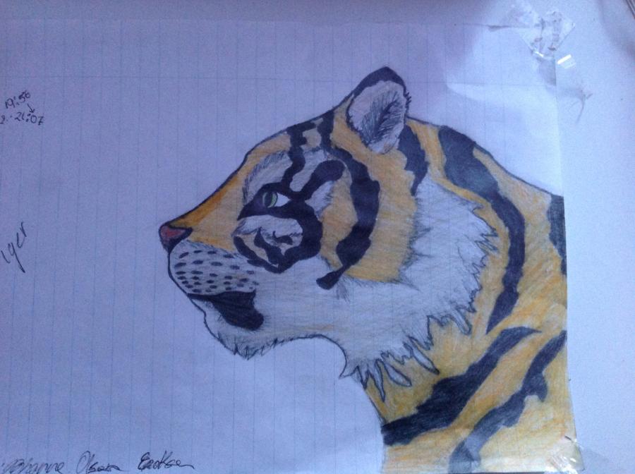 tiigereq