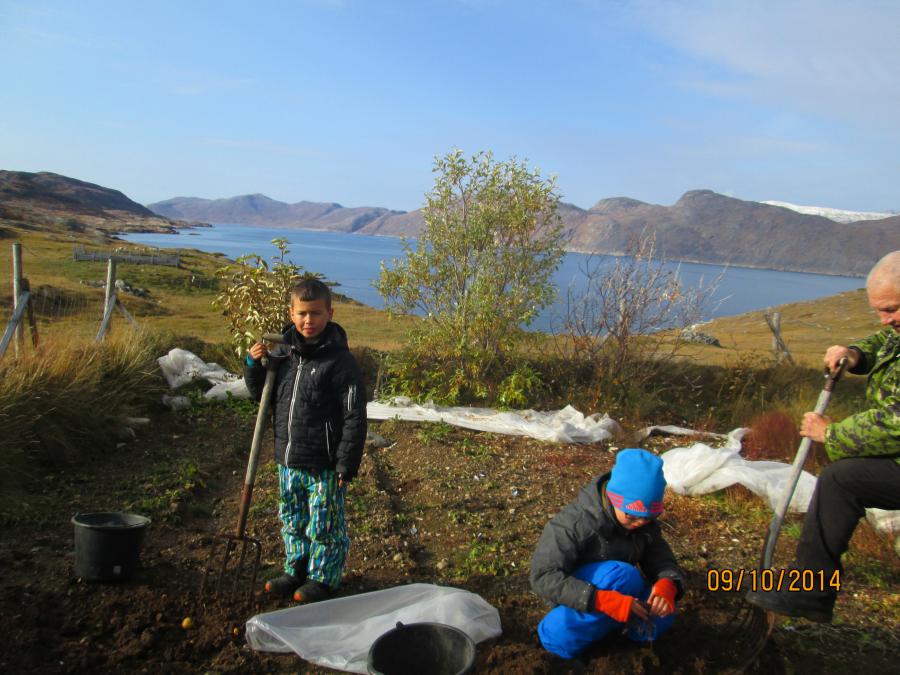 Kartoflinik Tatsip Kitaata Ataani piiaaneq okt.2014 ernutallu