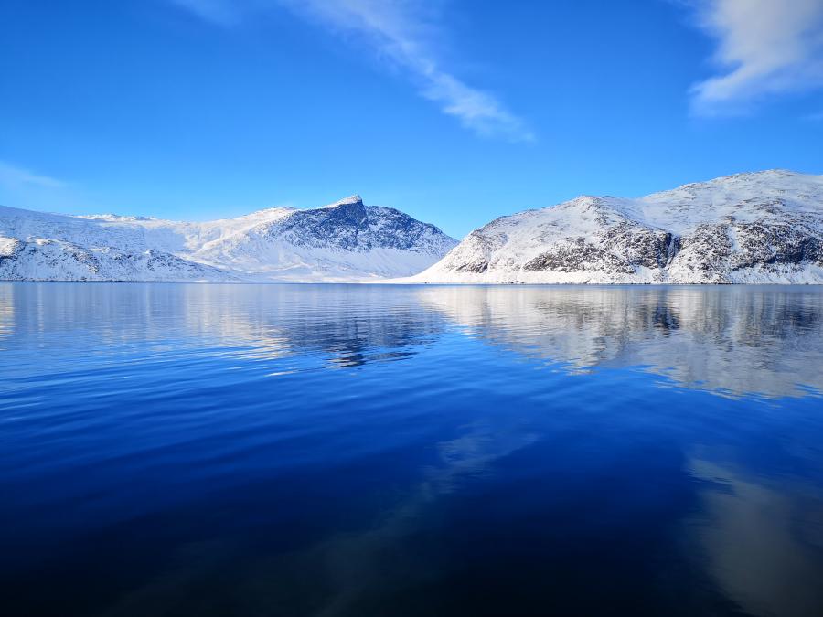 Nipisat qaqqaat, Ammassiviup eqqaa februaarip 13-at 2019