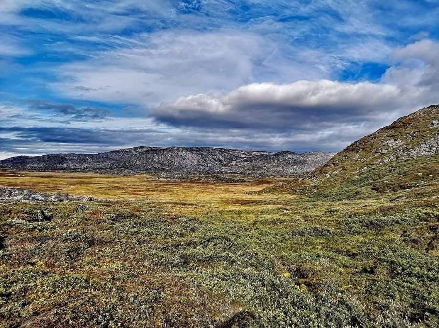Ilulissat qaqqaat