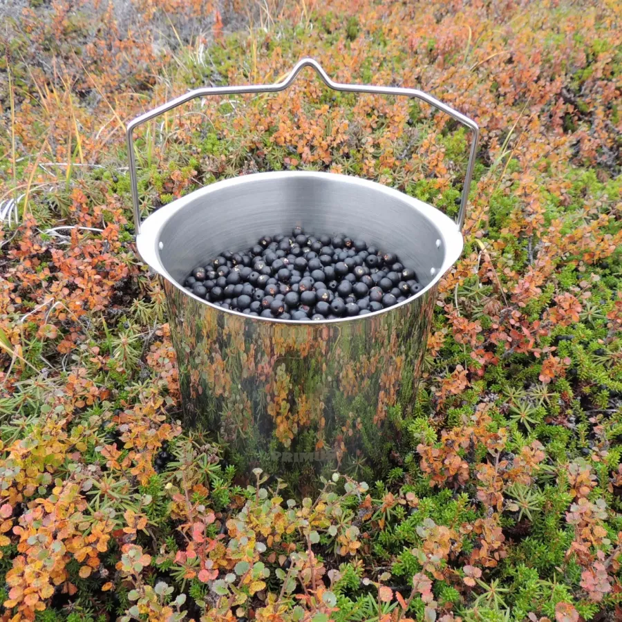 Sortebærtid