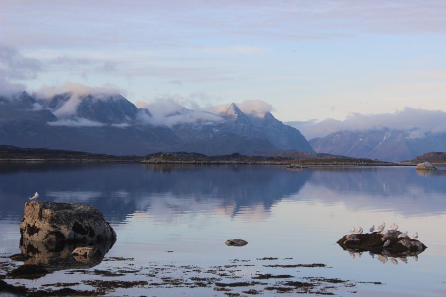 Nanortalimmut suliartorlunga ualikkut qatsungasoq. Nanortalik, septembarip 19-at 2019