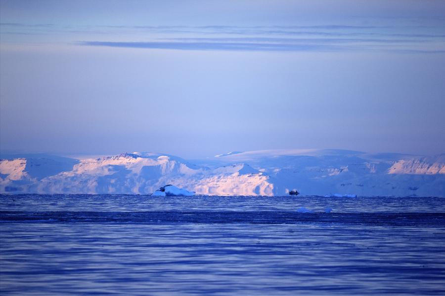 Qeqertarsuup tungaa puikkarsimsoq