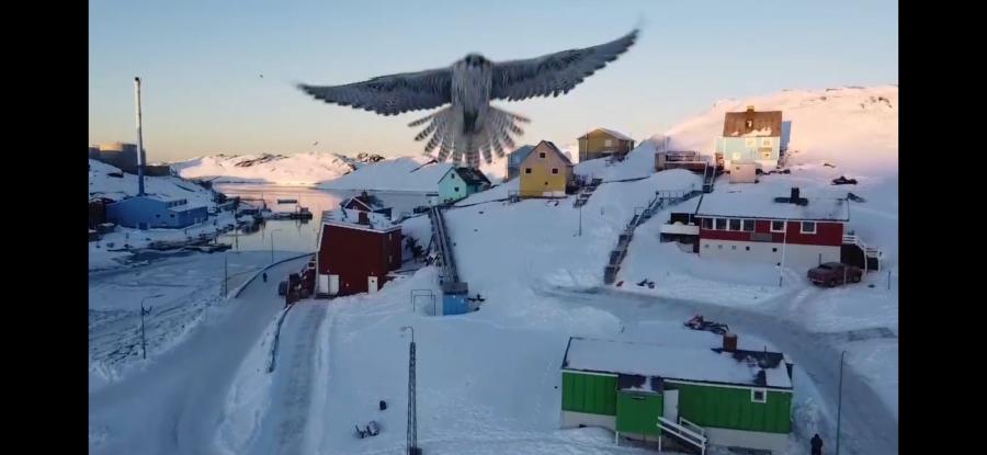 Kiinaaleeraq drone-rnermi takkuteriasaartoq. Paamiut, februaarip 16-iat 2021