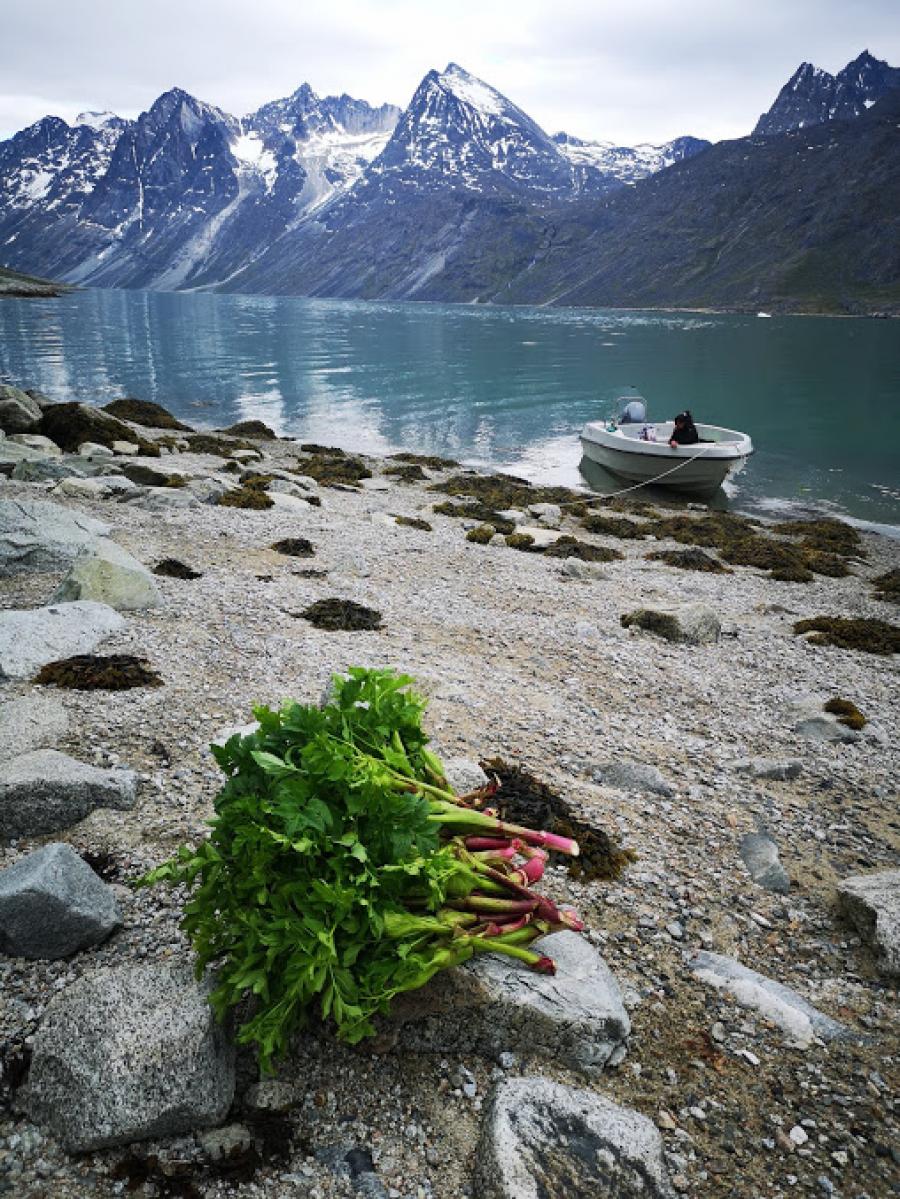 Kuvannit (Issillit)