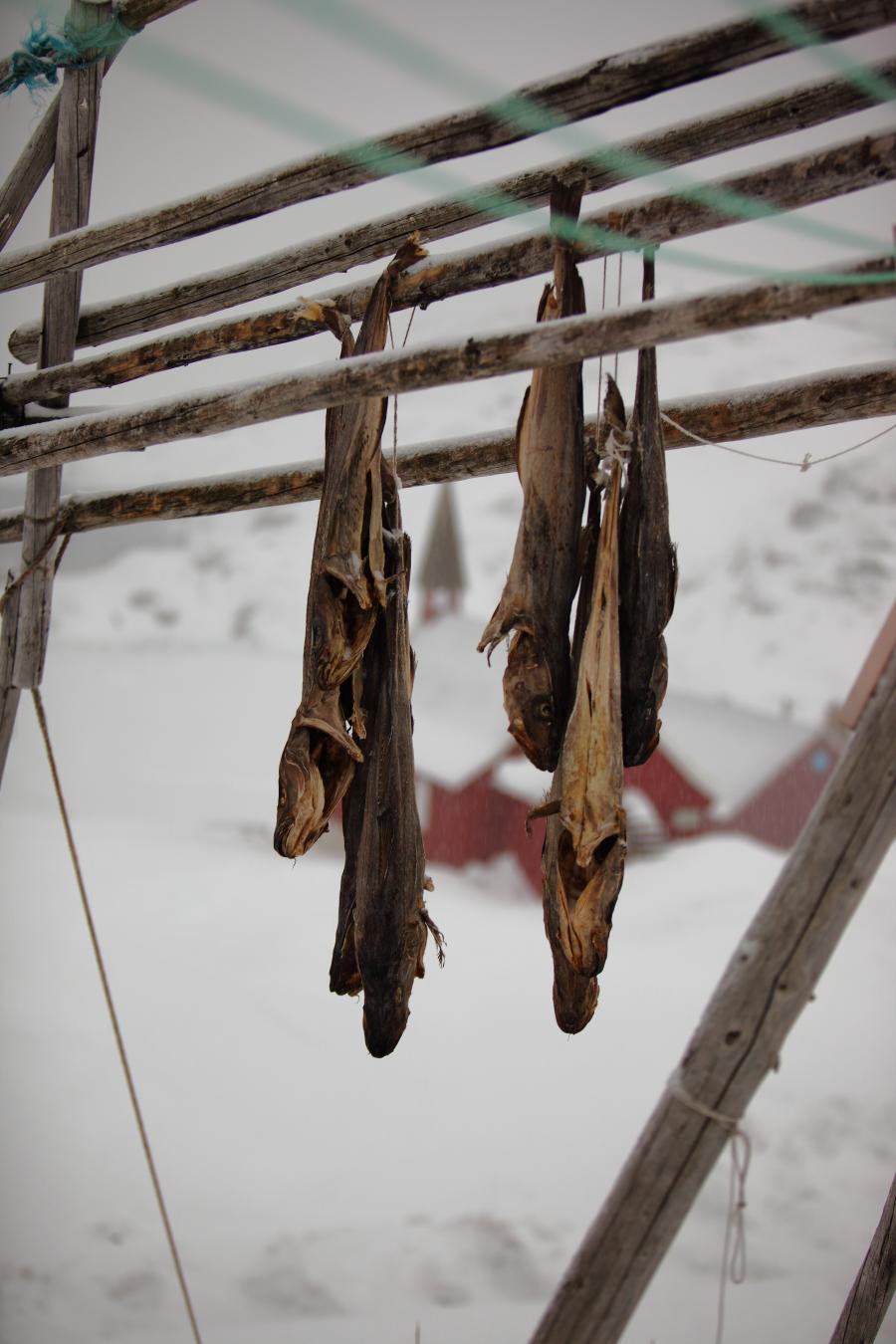Tasiilaq