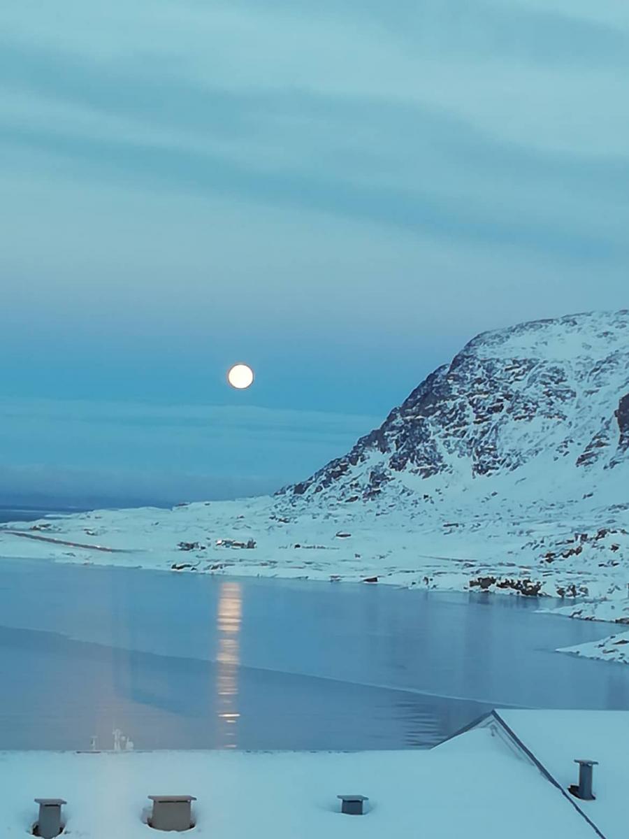Ullaakkut suliartorlunga qaammat 19 02 2019