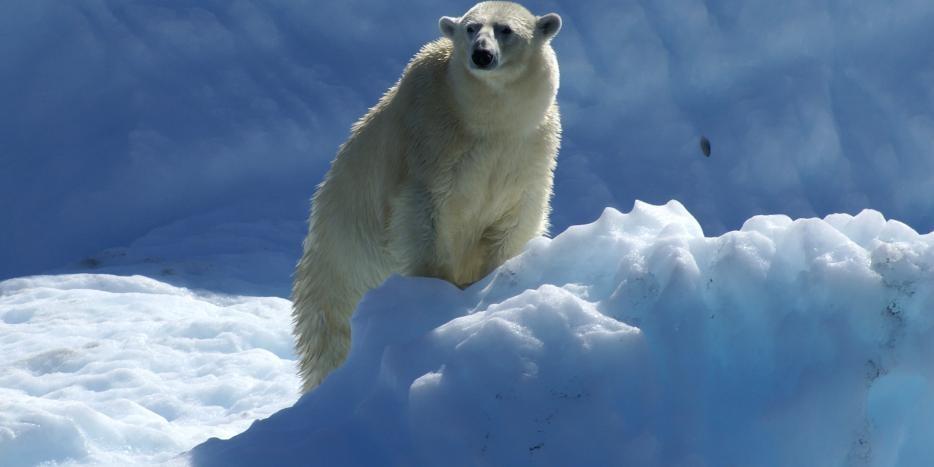 Foto © : KNR/Vilhelm Lynge