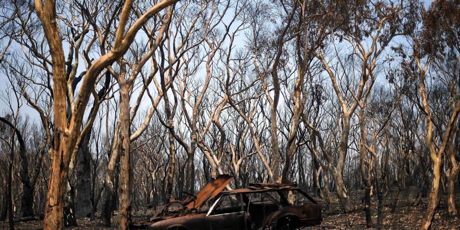 Høje temperaturer og tørke har været medvirkende til, at de voldsomme skovbrande i Australien har bredt sig.