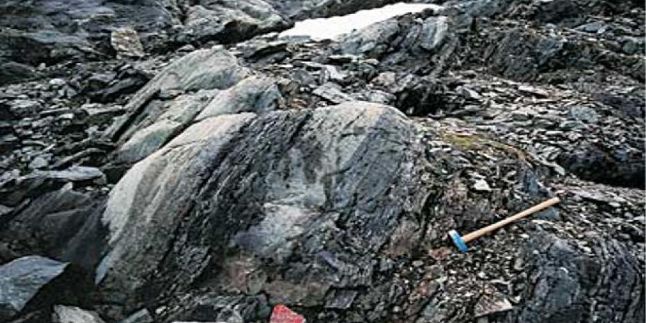 Forskerne fra Australien har angiveligt fundet fossilerne i et klippestykke fra Isukasia nordøst for Nuuk.