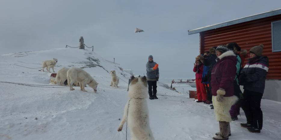Ole og Trine Gamst-Pedersen holder et foredrag om slædekørsel for en gruppe kinesere i Ilulissat